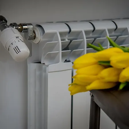 罗马客房旅馆 罗马